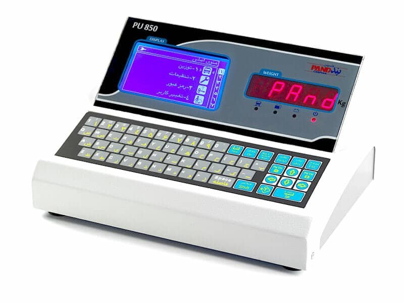 PAND Digital Weighing Indicator with Advanced DSP Filtering